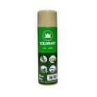 SPRAY COLORART USO GERAL BEGE BRASTEMP 300 ML