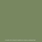 Tinta Esmalte Eucatex Brilhante Eucalux Verde Nilo 900 Ml