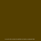 ESMALTE CORALIT ULTRA RESISTENCIA BRILHANTE MARROM 900 ML