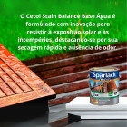 KIT CETOL STAIN BALANCE NATURAL 3,6L SPARLACK BANDEJA PINCEL